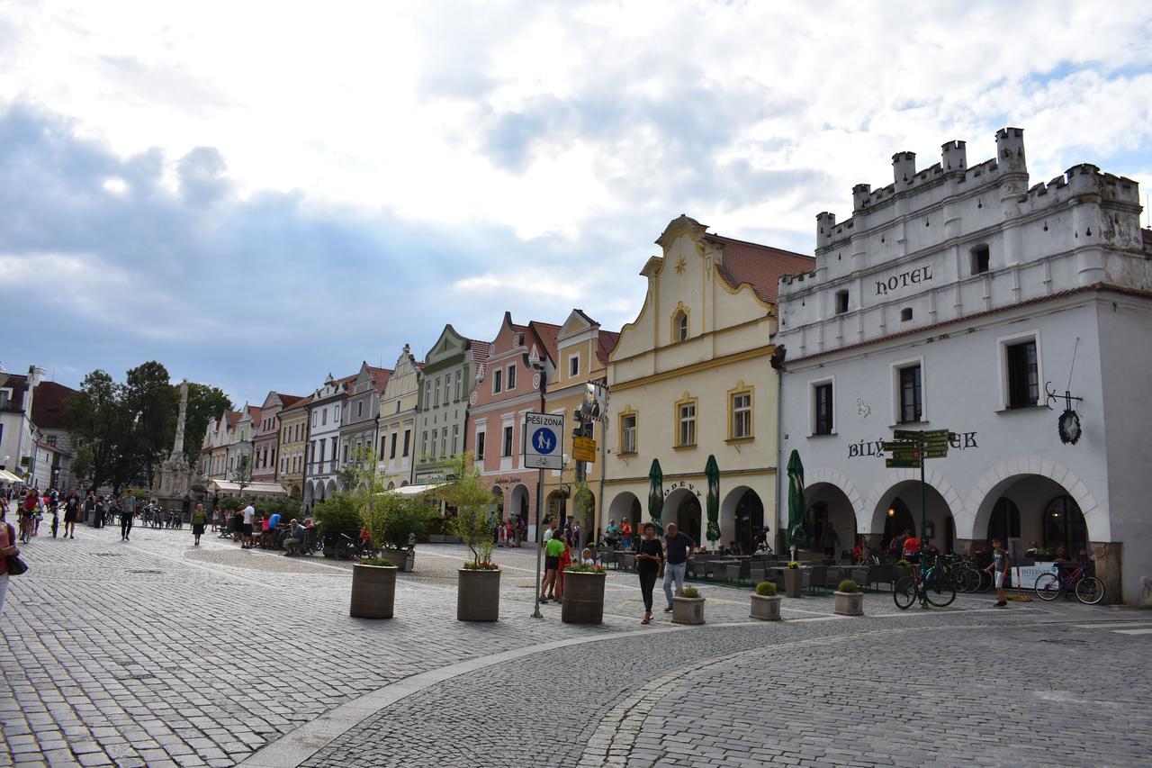 Bertik Trebon